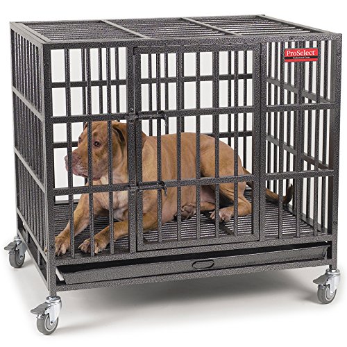 proselect dog crate